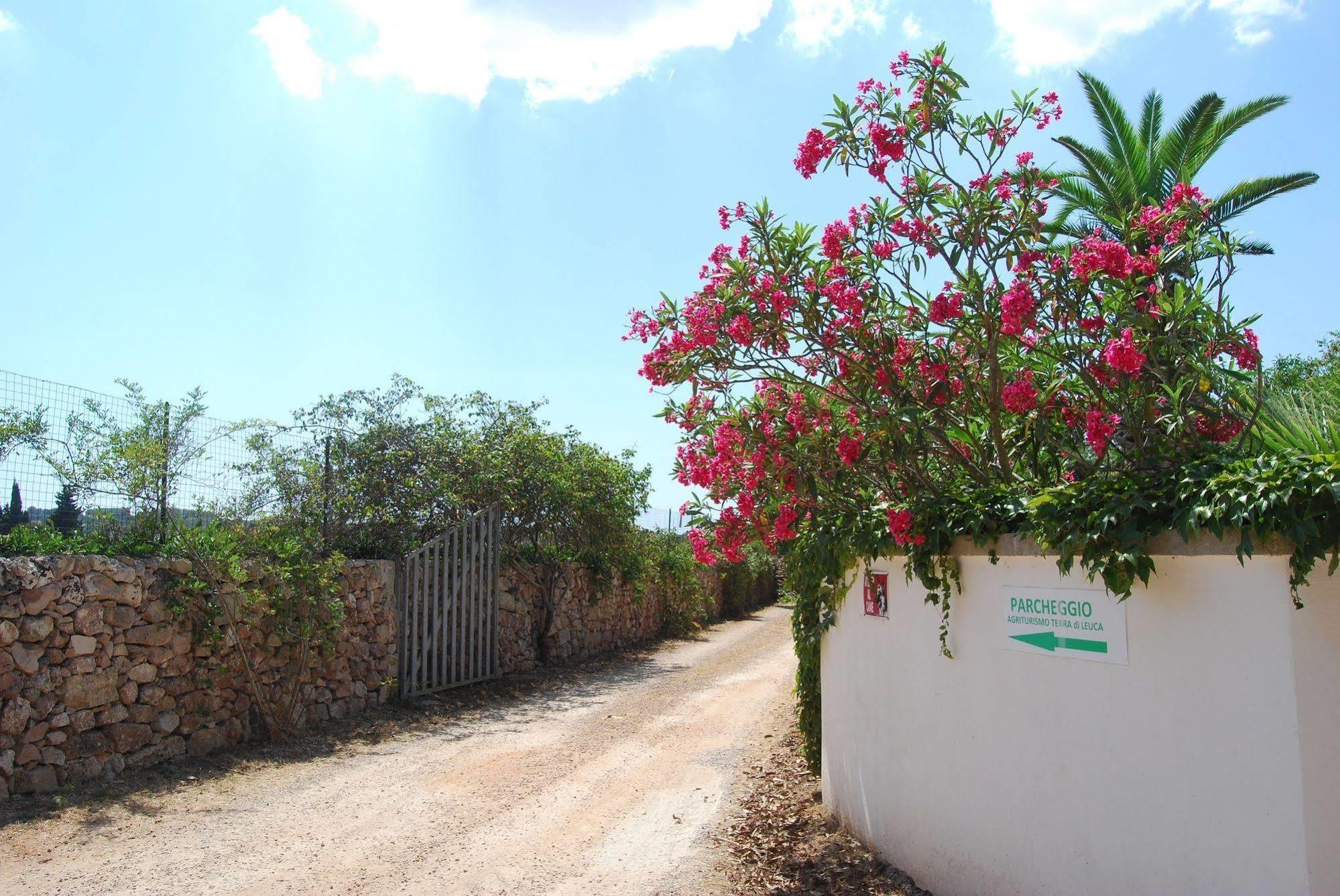 Villa Terra Di Leuca à Salve Extérieur photo