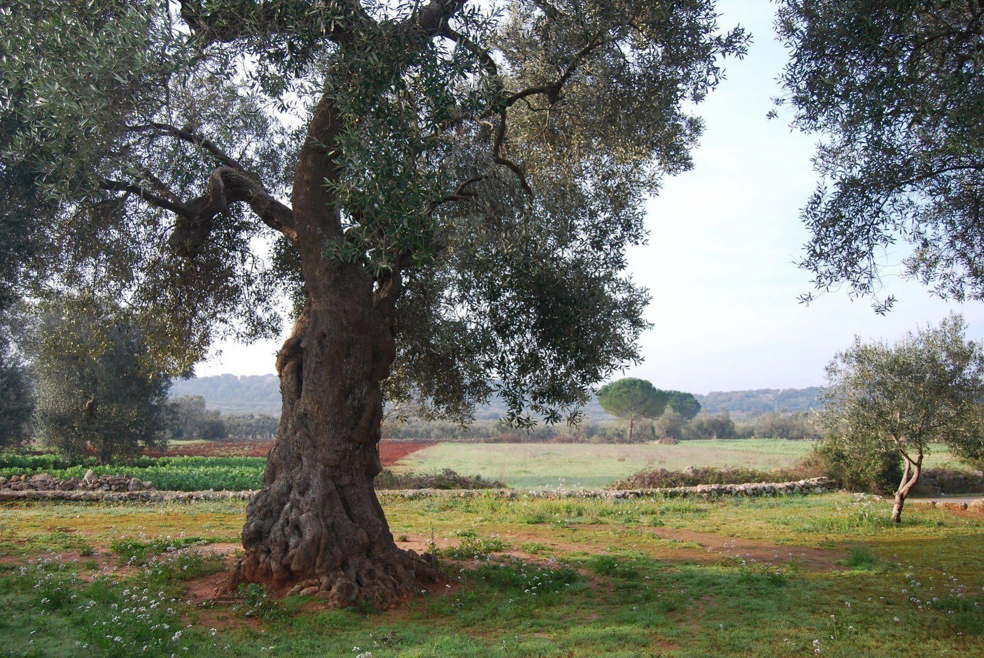 Villa Terra Di Leuca à Salve Extérieur photo