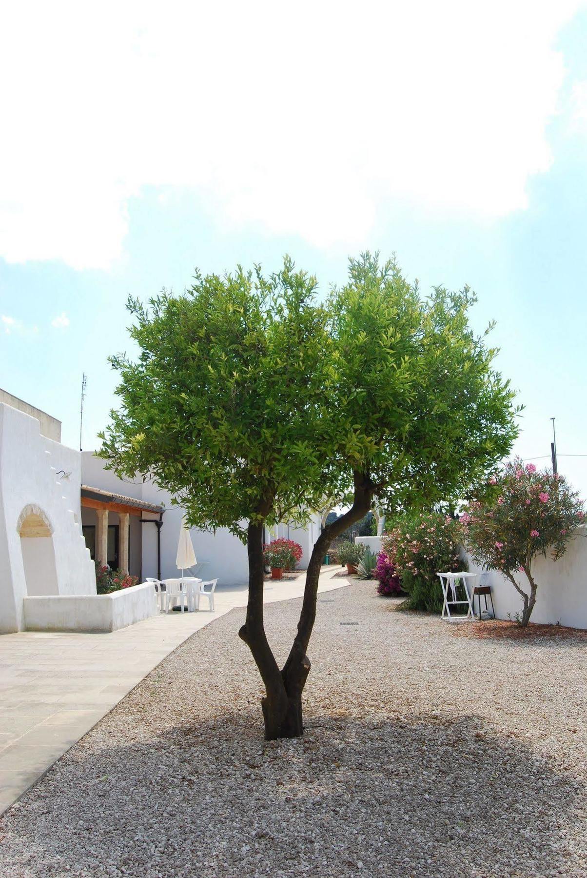 Villa Terra Di Leuca à Salve Extérieur photo